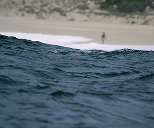 Waves